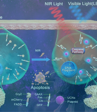 ܛ��ȱ�p�ޏ�